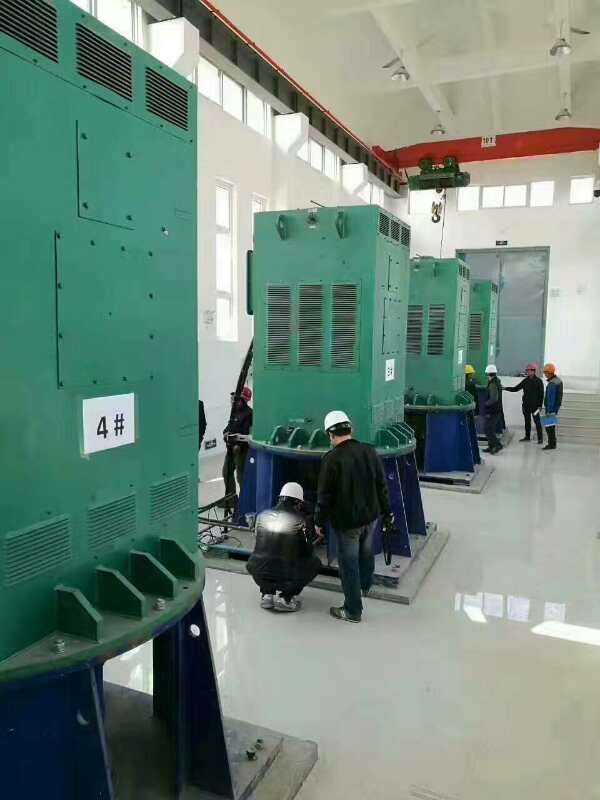 Y4502-6某污水处理厂使用我厂的立式高压电机安装现场报价