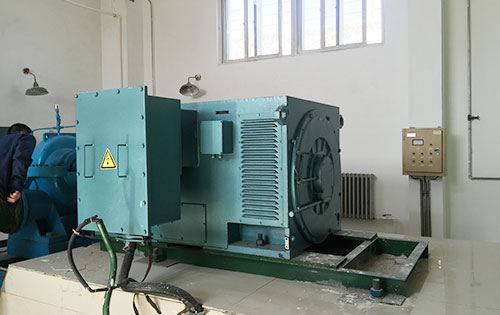 Y4502-6某水电站工程主水泵使用我公司高压电机一年质保