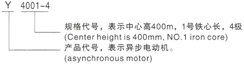 西安泰富西玛Y系列(H355-1000)高压Y4502-6三相异步电机型号说明