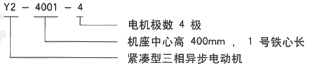 YR系列(H355-1000)高压Y4502-6三相异步电机西安西玛电机型号说明